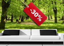 30% taniej na fototapety laminowane